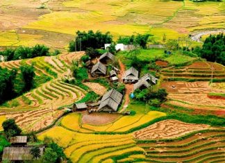 Khám phá bản Tả Phìn Sapa – điểm du lịch hoang sơ ngay giữa lòng Tây Bắc Khám phá bản Tả Phìn Sapa - điểm du lịch hoang sơ ngay giữa lòng Tây Bắc