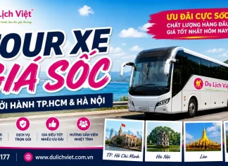 Tour xe giá sốc – Vi vu khắp nơi bằng tour xe giá rẻ 2026